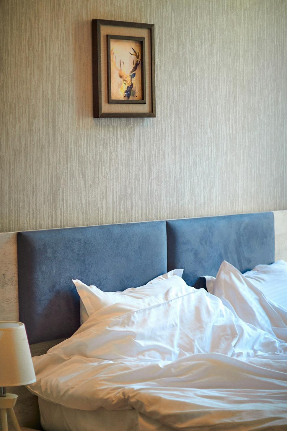 Zeus Suite